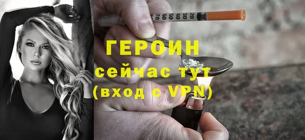 твердый Бородино