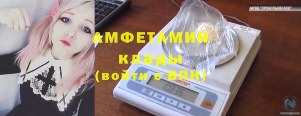 твердый Бородино