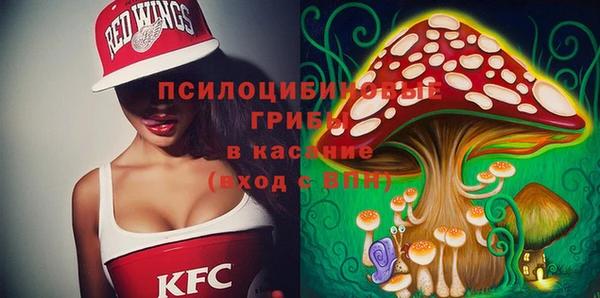 твердый Бородино