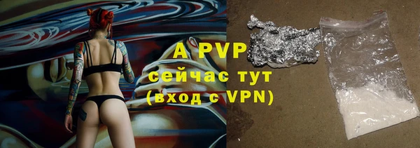твердый Бородино