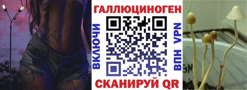 Псилоцибиновые грибы Psilocybe  ОМГ ОМГ сайт  Кировград 